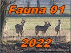 Fauna 01 2022